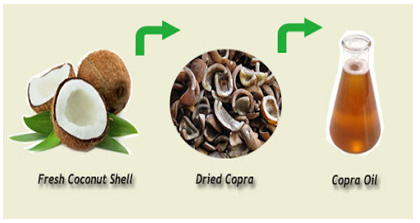 Government Increases MSP for Copra